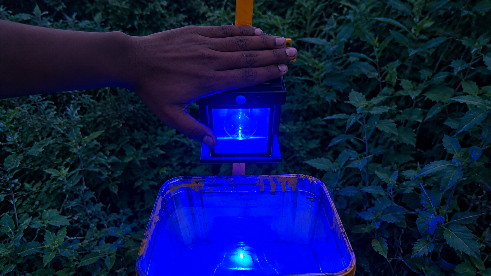 Solar Insect Trap deployed at field edge